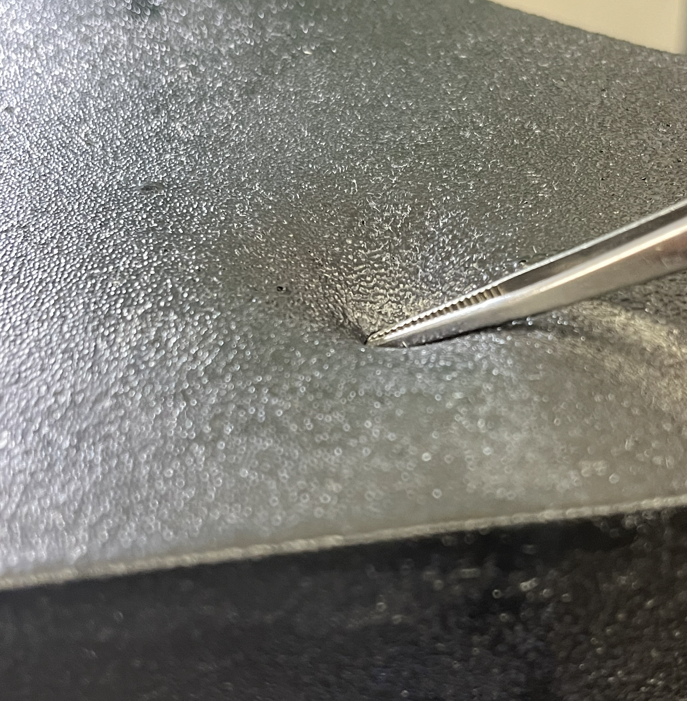 未コーティングスポンジの弾力